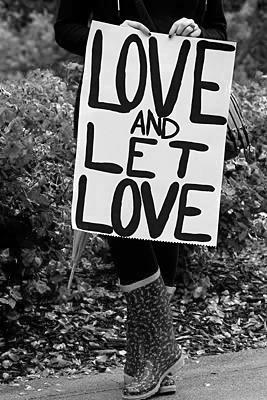 Manifestante contra la DOMA.