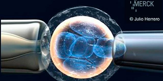 LIBRE DEL SÍNDROME DE NIÑO BURBUJA