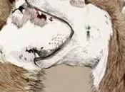 cine español independiente gustaría