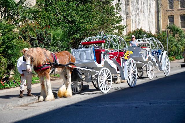 Visita de la familia política