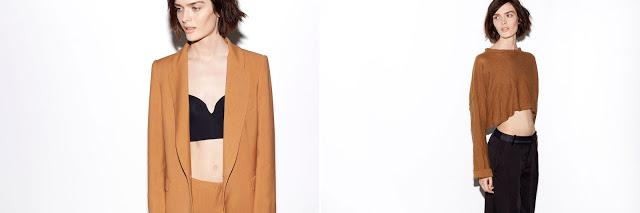 Lookbook Zara Woman