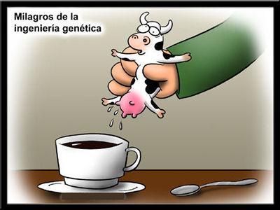 salmón, salmón a la plancha, salmón con limón, cilantro, espárragos, recetas de cocina, blog de cocina, gastronomía, curiosidades, chistes, humor salmón, salmón a la plancha, salmón con limón, cilantro, espárragos, recetas de cocina, blog de cocina, gastronomía, curiosidades, chistes, humor