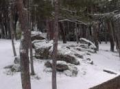 Niña Pequeña, nieve, colegio