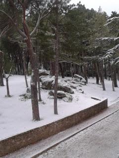 Niña Pequeña, la nieve, el colegio y yo.