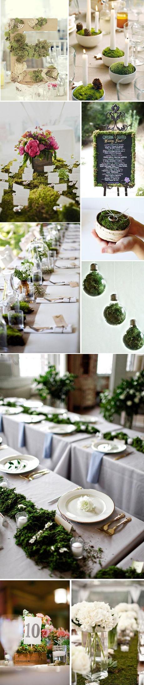 Decorando con musgo… Decora con musgo