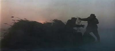 DERSU UZALA (EL CAZADOR), (DERSU UZALA, 1.975) de Akira Kurosawa.