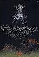 Concurso Pequeños Dragonflies. Prueba 3