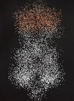 Concurso Pequeños Dragonflies. Prueba 3