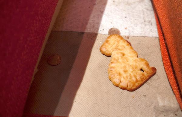 Un paleontólogo encuentra un dinosaurio entre los cojines del sofá