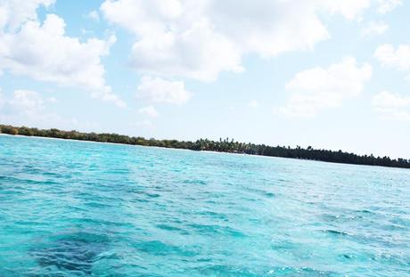 Saona Island & White Outfit
