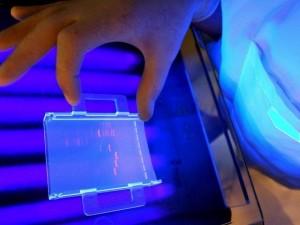 Detectives del laboratotio de ADN