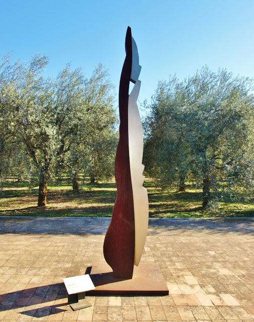 Un ciprés entre olivos.