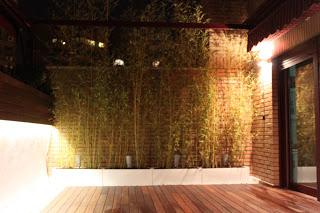 Un jardín en el ático con iluminación