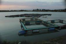 Fundación de Consorcio Azucarero valora apoyo de Danilo a productoras de Bombita.