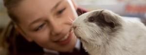 Autismo: mascotas y juguetes para el desarrollo de habilidades sociales Autismo mascotas y juguetes para el desarrollo de habilidades sociales