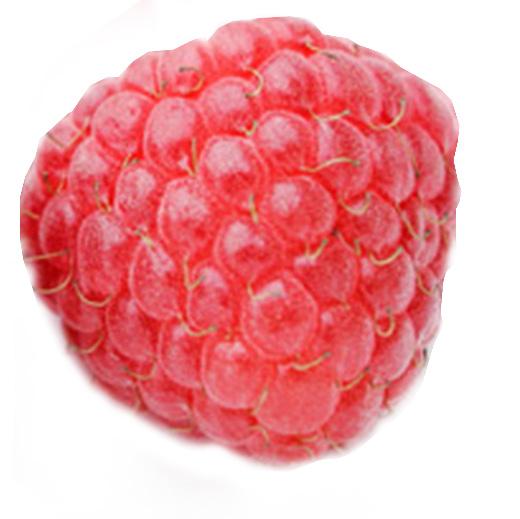 Plantscription SPF 25 Anti-aging Cream. Ideal para tu piel.