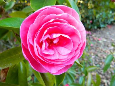 Nos visitan de Alemania, Suiza y Luxemburgo.