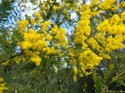 Nos visitan de Alemania, Suiza y Luxemburgo.