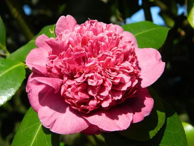 Nos visitan de Alemania, Suiza y Luxemburgo.