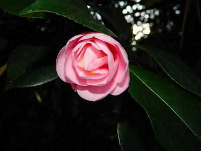 Nos visitan de Alemania, Suiza y Luxemburgo.