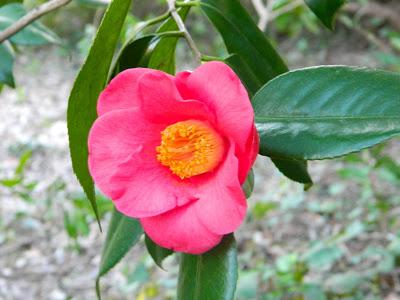 Nos visitan de Alemania, Suiza y Luxemburgo.