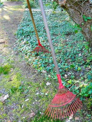 Nos visitan de Alemania, Suiza y Luxemburgo.