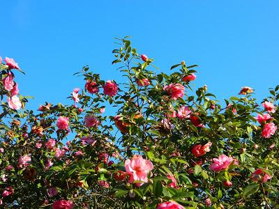 Nos visitan de Alemania, Suiza y Luxemburgo.