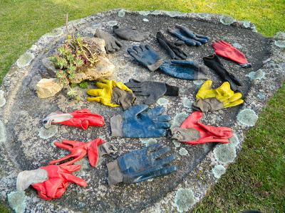 Nos visitan de Alemania, Suiza y Luxemburgo.