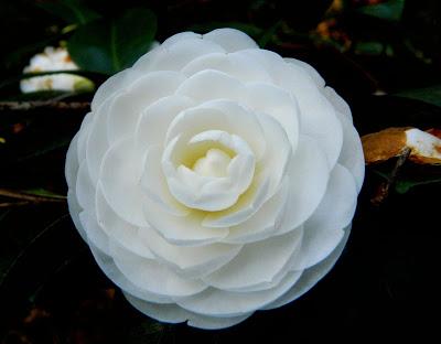 Nos visitan de Alemania, Suiza y Luxemburgo.