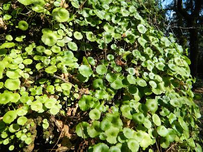 Nos visitan de Alemania, Suiza y Luxemburgo.