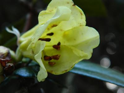 Nos visitan de Alemania, Suiza y Luxemburgo.