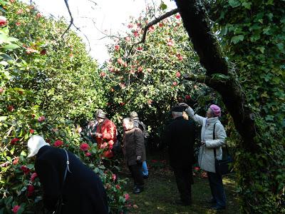 Nos visitan de Alemania, Suiza y Luxemburgo.