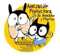 protectora