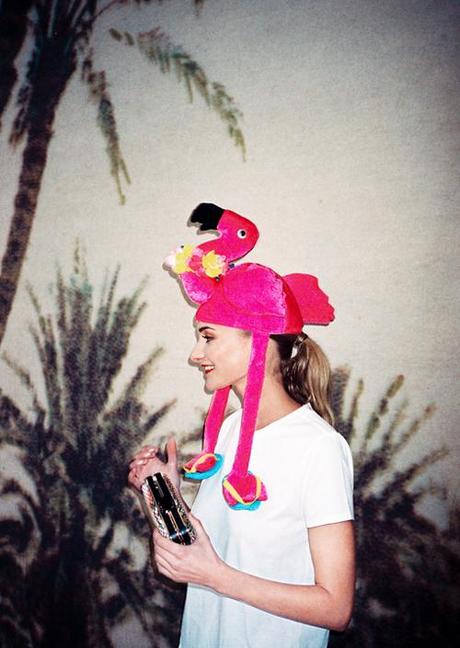 Image Hosted by ImageShack.us