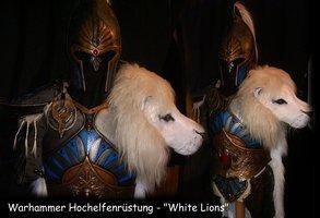 Cosplays de elfos de WFB