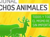 derecho animales