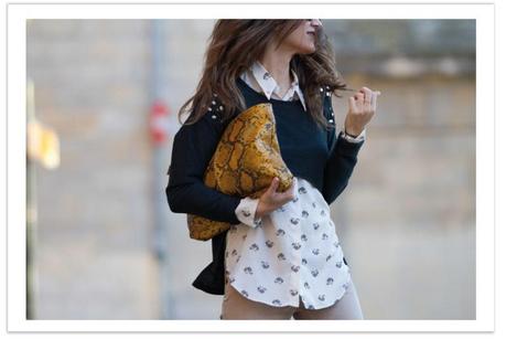 Image Hosted by ImageShack.us