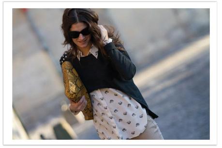 Image Hosted by ImageShack.us