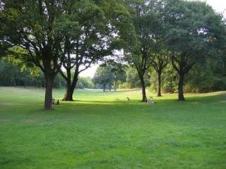 Practique lo básico