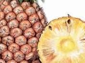 bromelaína, antiinflamatorio natural