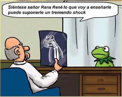 hamburguesas, hamburguesas gourmet, hamburguesas caseras, espárragos, cilantros, queso cheddar, carne picada, recetas de cocina, humor, chistes, curiosidades