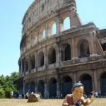 Traveling Fary: el perfil de Twitter que no podrías imaginar