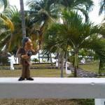 Traveling Fary: el perfil de Twitter que no podrías imaginar