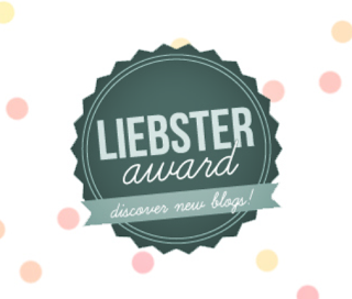 Premios LIEBSTER BLOG AWARD