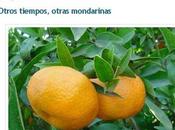 premeditación... ortografía (85)