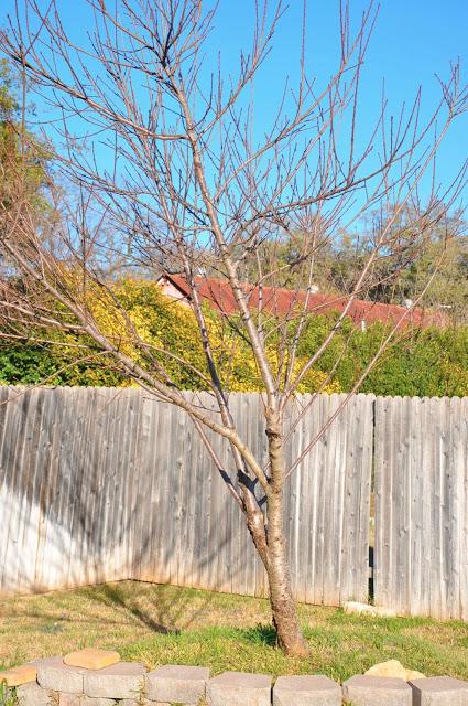 Creatividad en la decoración de hogar