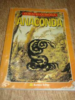 Sobre escritores: aventuras y tragedias