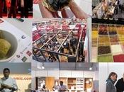 Forum Girona 2013
