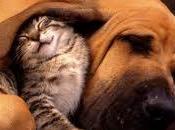 Amistad...