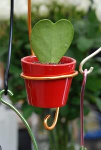El amor nos yuda a crecer (Sant Jordi, Barcelona, abril 2011) ¿EL AMOR NOS AYUDA A CRECER?